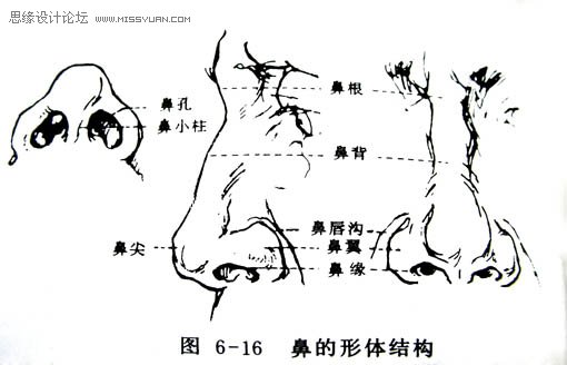 Photoshop鼠绘漂亮的金发模特,PS教程,图老师教程网