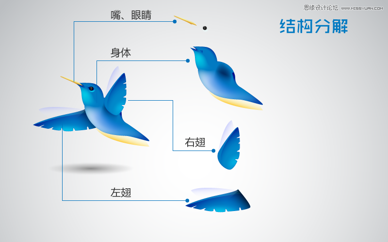 Illustrator制作可爱的蜂鸟教程,PS教程,图老师教程网