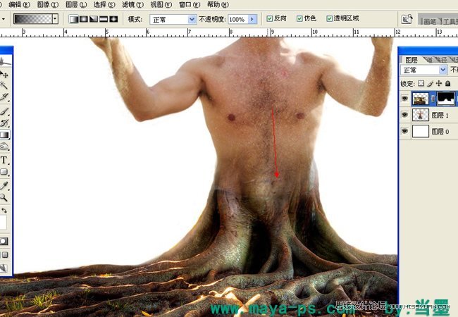 Photoshop合成超酷的树妖效果图,PS教程,图老师教程网