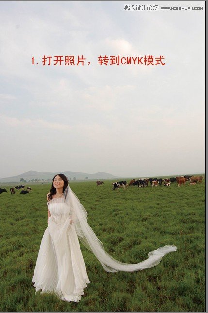 Photoshop调色教程：草原上的婚纱调法,PS教程,图老师教程网