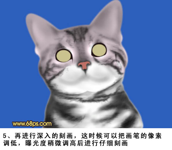 Photoshop绘制真实的猫咪教程,PS教程,图老师教程网