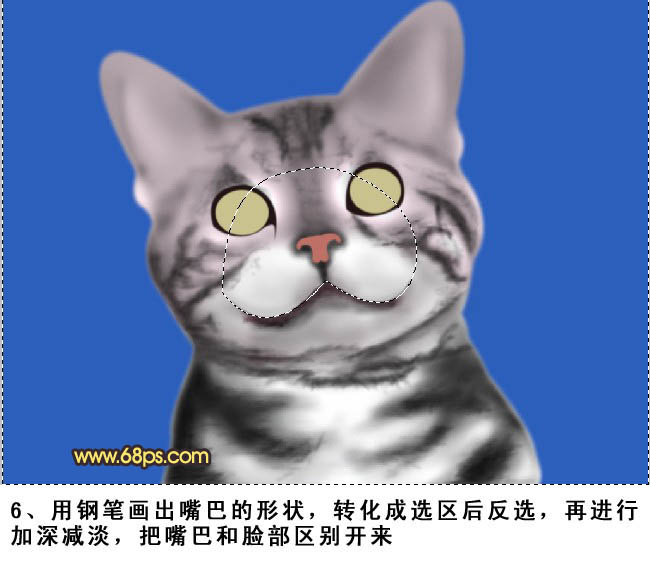 Photoshop绘制真实的猫咪教程,PS教程,图老师教程网