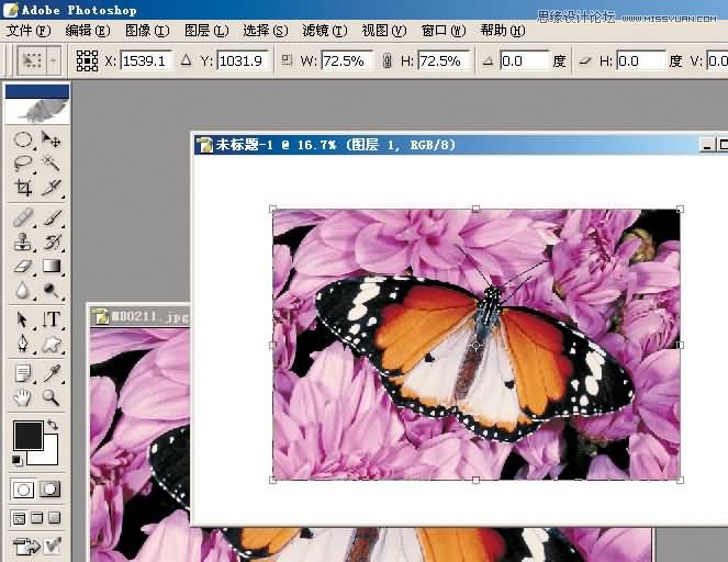 Photoshop制作漂亮的另列邮票效果,PS教程,图老师教程网