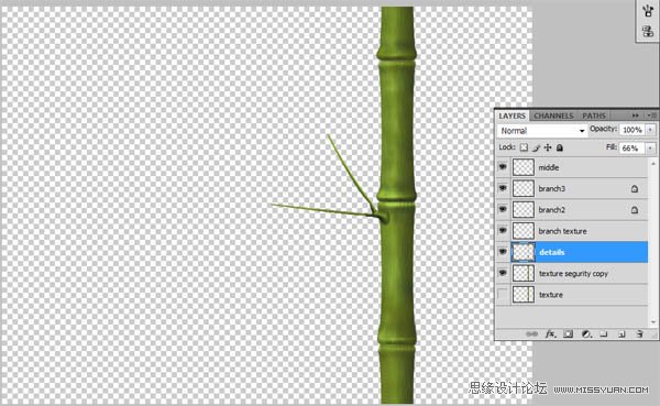 Photoshop绘制逼真的竹子背景效果,PS教程,图老师教程网