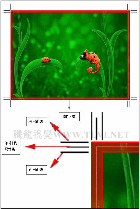 印刷知识初学者的必读教程：详解出血线,PS教程,图老师教程网