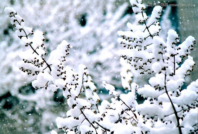 简单几招拍出雪地好风光摄影作品,PS教程,图老师教程网