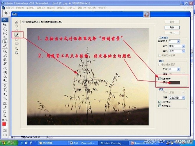 Photoshop使用抽出滤镜抠图教程,PS教程,图老师教程网