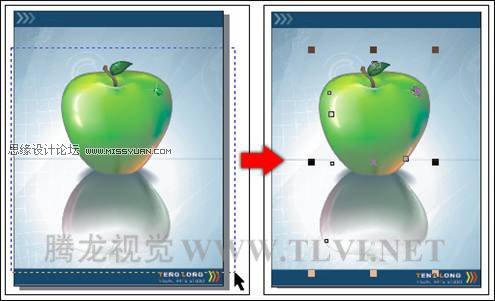 在CorelDRAW中的对象概述与选择对象,PS教程,图老师教程网