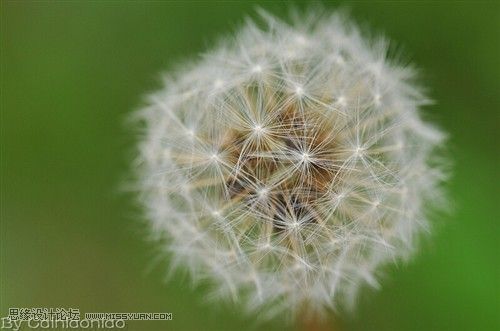 摄影技巧：拍出清晰的照片,PS教程,图老师教程网