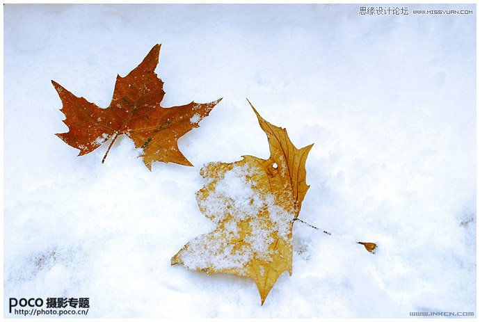 详细解析冬季雪景拍摄技巧,PS教程,图老师教程网