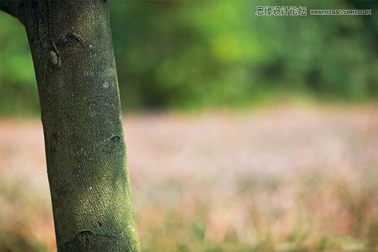 摄影师四招教你轻松拍出好风景,PS教程,图老师教程网