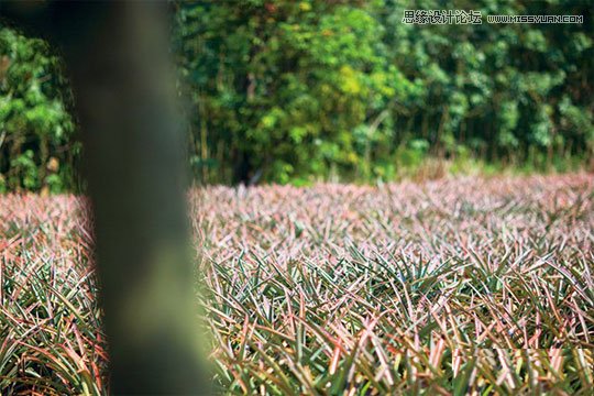 摄影师四招教你轻松拍出好风景,PS教程,图老师教程网