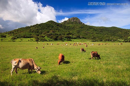 摄影师四招教你轻松拍出好风景,PS教程,图老师教程网