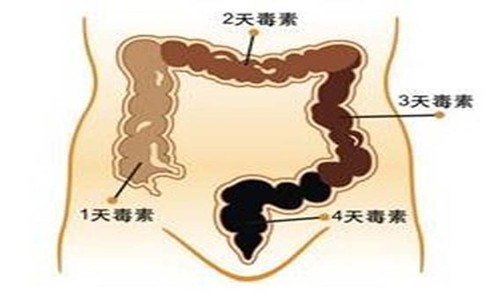 肠道藏毒