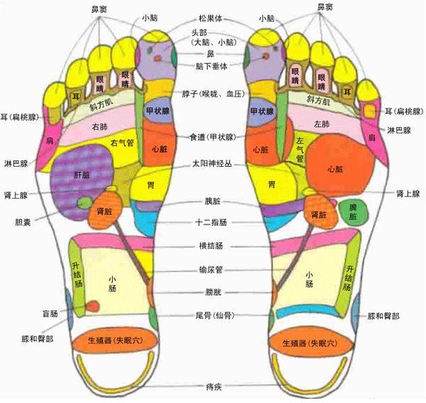 人体脚部穴位图-人体足部高清穴位示意图解