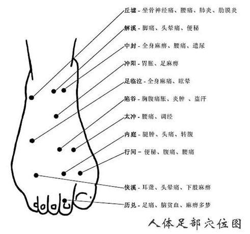 人体足部穴位图