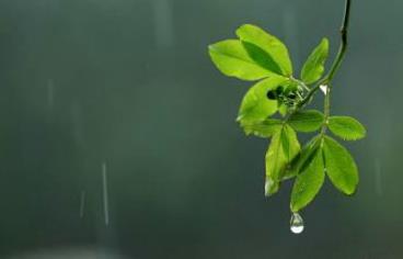 多雨季节老人该如何养生