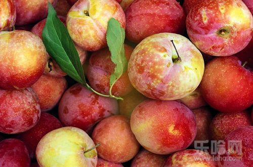 【图】水果吃多了会胖吗_图老师|tulaoshi.com