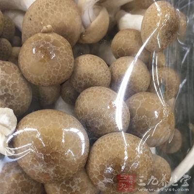 菌藻类食物还具有重要的保健作用