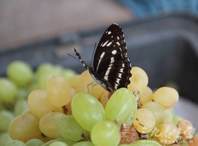 咳嗽时孕妇可多食用水果