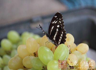 水果纤维有助于消化