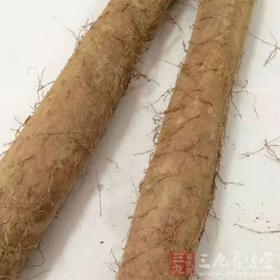 山药有神仙之食”的美誉