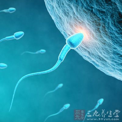 理论上最佳的受孕时机是排卵后的12小时内