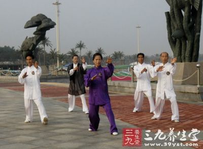 我认为杨式太极拳的各类拳架