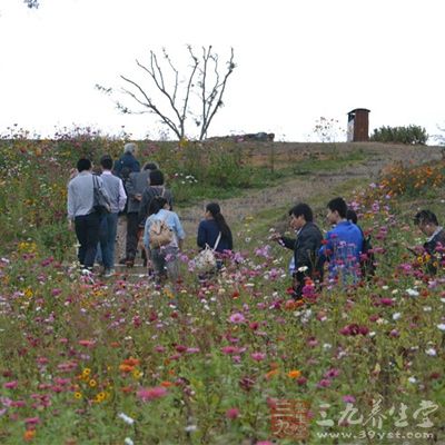 健身房已经过时了，暴走族正在成为品味生活的象征