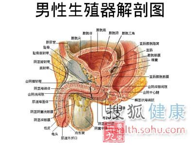 男人注意:私处衰老的四个体现