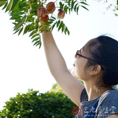 抗衰老食品八：苹果