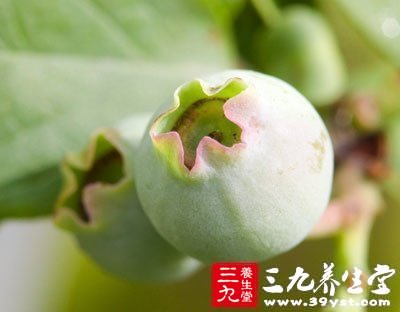 无花果可保肝解毒，清热润肠、助消化