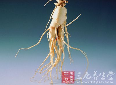 西洋参(学名：Panax quinquefolius)是五加科人参属多年生草木植物