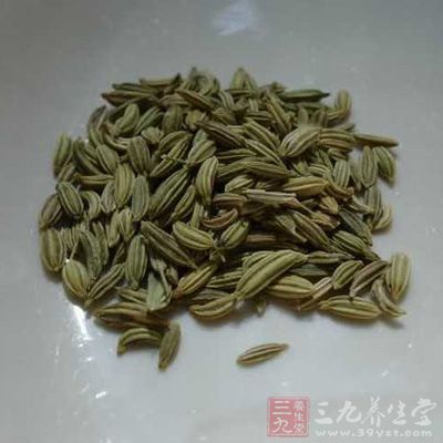 腰膝酸软、耳鸣等症状禁食小茴香。