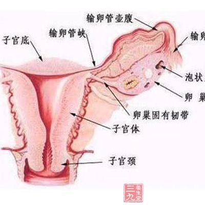 据医学证明，盆腔炎是我国常见的妇科疾病之一，一旦患上，会对患者的生活造成影响