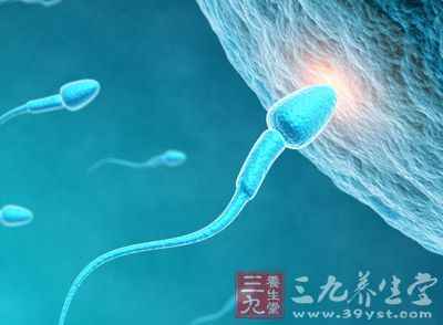 精子在不同的环境、气温条件下存活的时间也有差别