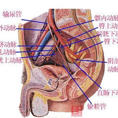 七大措施有助于女性呵护盆腔