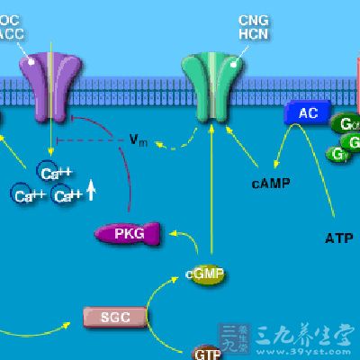 前列腺炎治疗方法通过生物离子、细胞修复效应等共同作用，增强细胞的吞噬功能、加强新陈代谢功能的修复、提高腺体免疫力