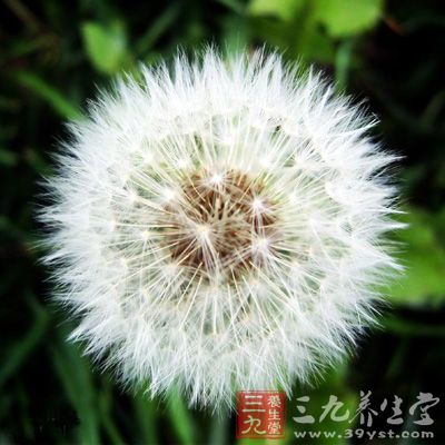 【图】慢性乳腺炎的症状 |慢性乳腺炎的治疗_图