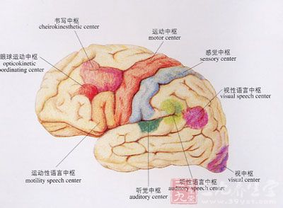 脑萎缩的症状表现最大的就是记忆障碍