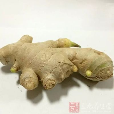 生姜吃多了对于身体伤害极大