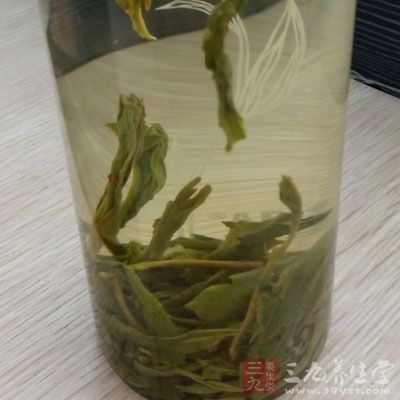 绿茶茶叶来冷敷