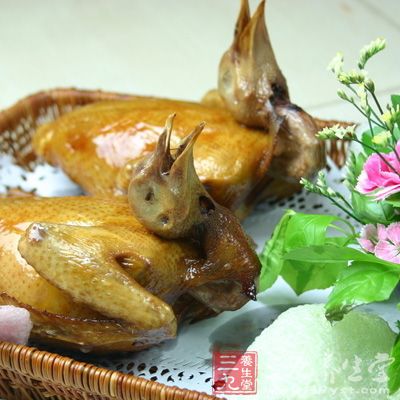 鸽子肉功效主治解药毒