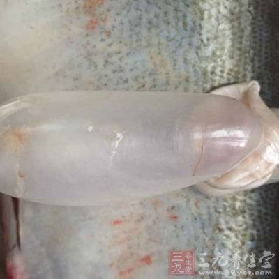 鱼鳔适合因为肾虚造成的腰膝酸软、头晕乏力等人食用