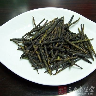 苦丁茶性寒凉