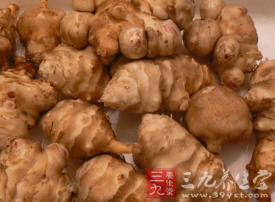 菊芋是一种无病虫危害和农药污染、适于制作绿色食品的上乘原料