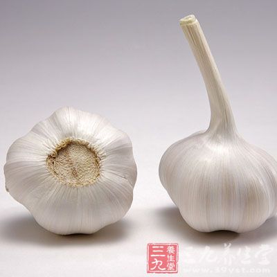 为良好的杀菌食物，能杀灭胃溃疡的致病祸首——幽门螺旋杆菌