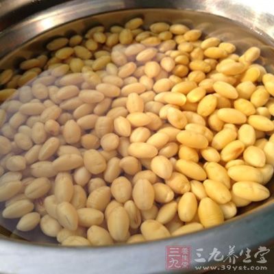 做豆浆黄豆泡多久