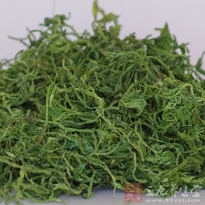 绞股蓝又名小苦药、七叶胆、甘茶曼、小母猪油、公罗锅底