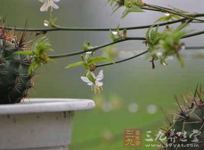 他的心正从自己的现任女友身上慢慢移到其他女生身上